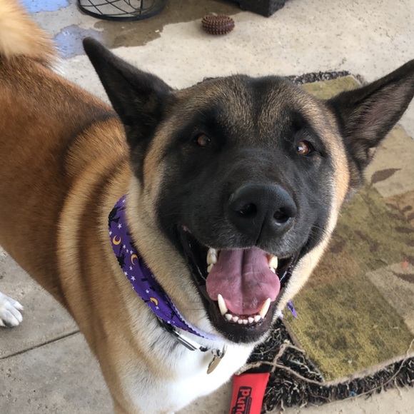 Meet your Posher, Kristen - Picture 10 of 13